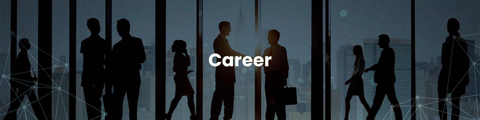Career
